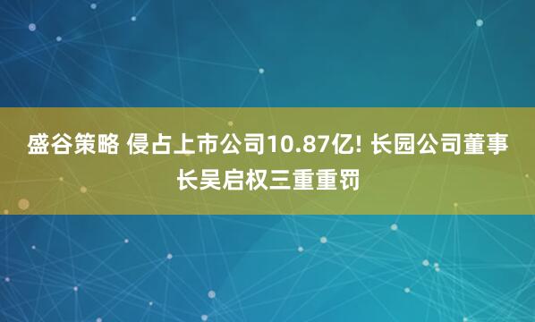 盛谷策略 侵占上市公司10.87亿! 长园公司董事长吴启权三重重罚