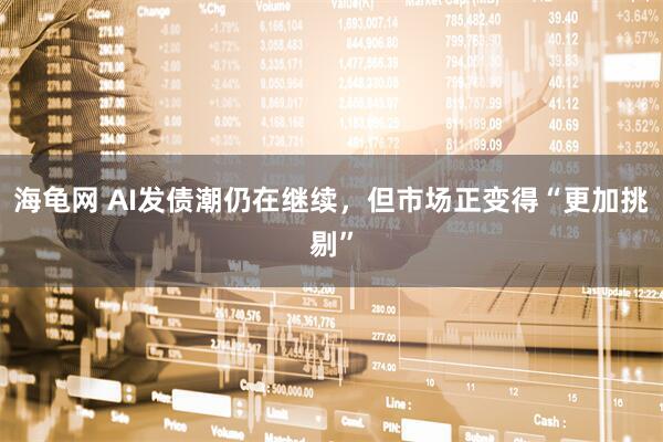 海龟网 AI发债潮仍在继续，但市场正变得“更加挑剔”